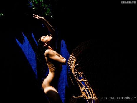 tina.asphodel