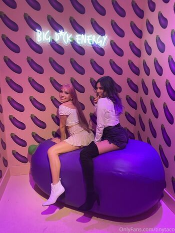 tinytaco Leaked Nude OnlyFans (Photo 4)