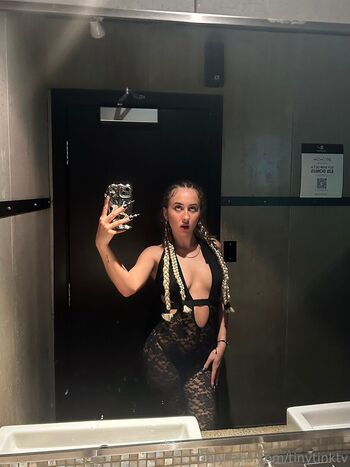 tinytinktv Leaked Nude OnlyFans (Photo 5)