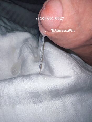 TS Vanessa9in Leaked Nude OnlyFans (Photo 28)