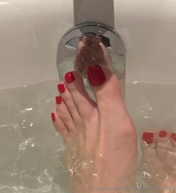 vixen.arches