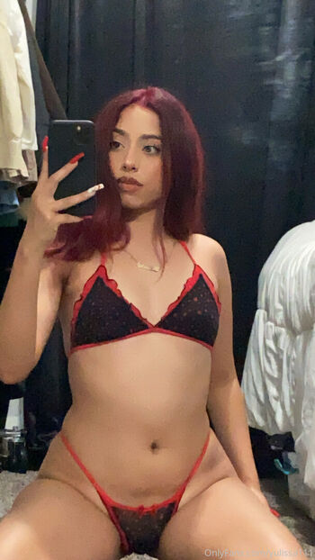 vixen177