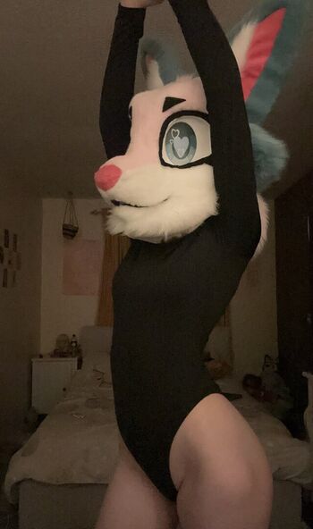 VixnRoo
