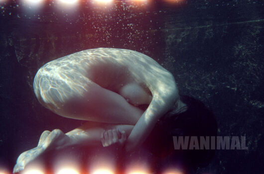 Wanimal Models