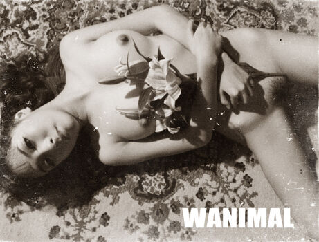 Wanimal Models Leaked Nude OnlyFans (Photo 489)