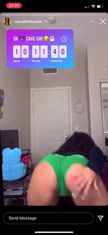 wendithebarbie Leaked Nude OnlyFans (Photo 8)