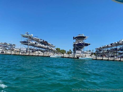 WILDLIFEPROVIXEN Leaked Nude OnlyFans (Photo 30)