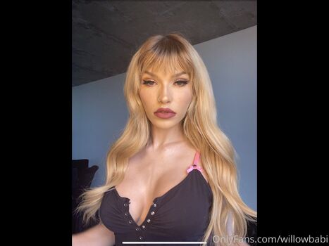 willowbabi Leaked Nude OnlyFans (Photo 6)