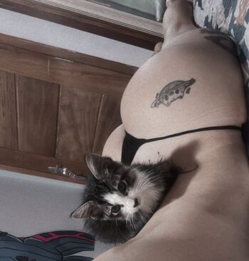 Yasmim Cat